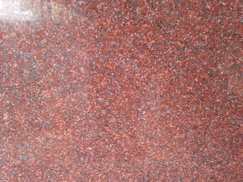 India Red Granite Slab - granite-slabs