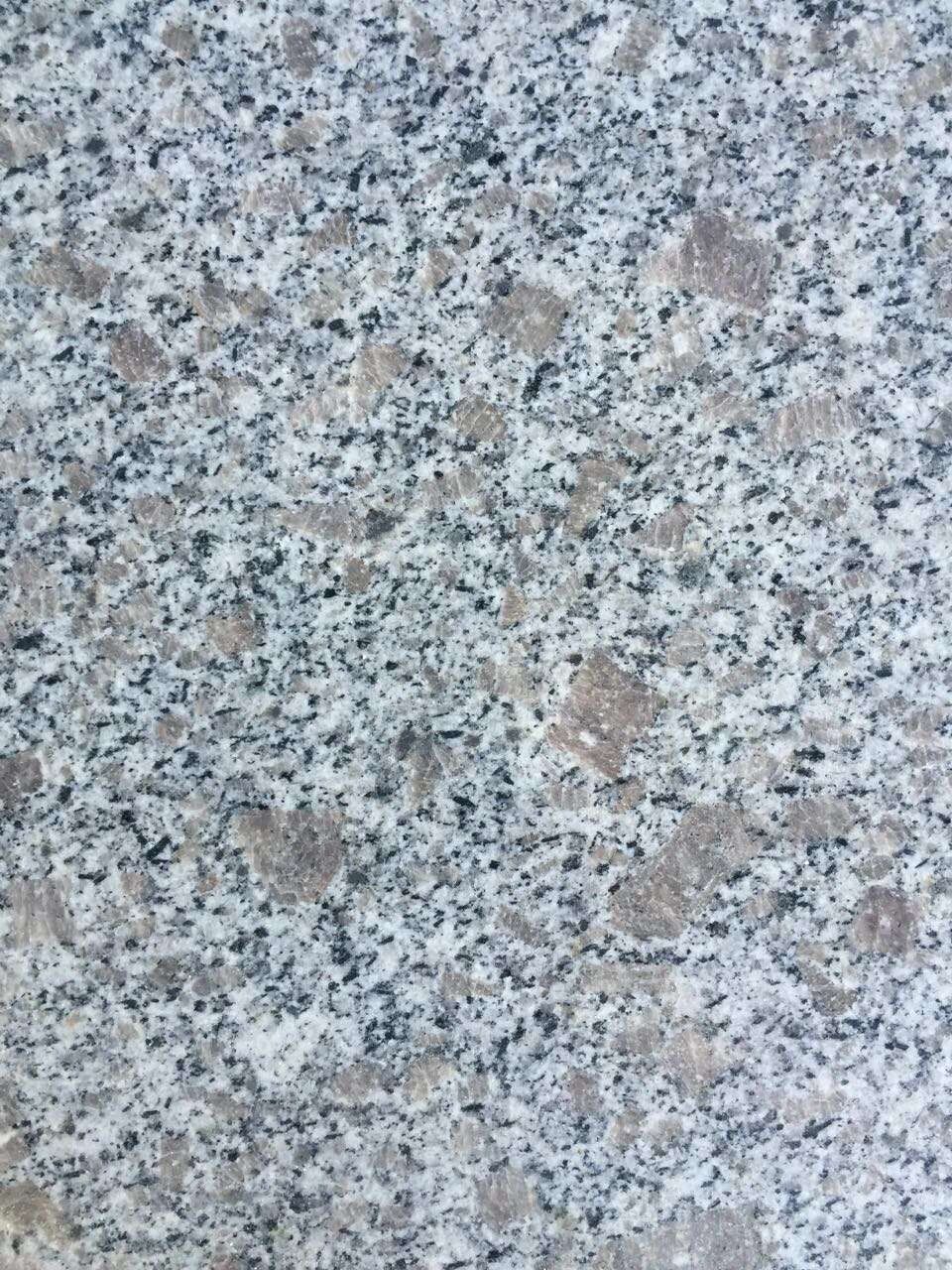 China Pearl White Granite Tiles For Floor - granite-tiles