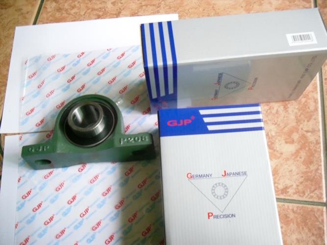 75mm Pillow Block Bearing UCP215 for Dry Cleaner