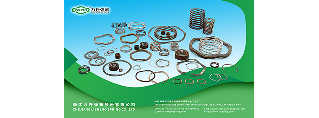 10 years experience in designing and manufaturing wave spring