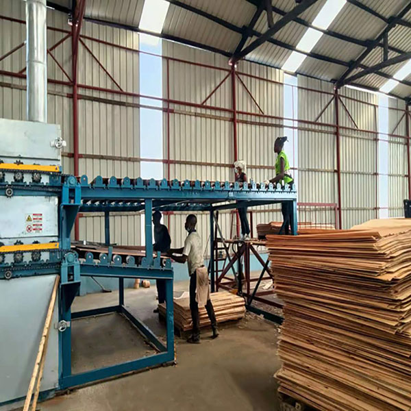 China Plywood Wood Veneer Dryer Machinery For Sale