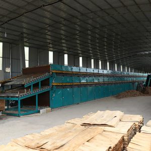 Wood Plywood Roller Veneer Dryer Products from China factory