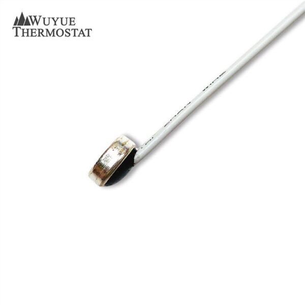S01 Coil Thermal Protector