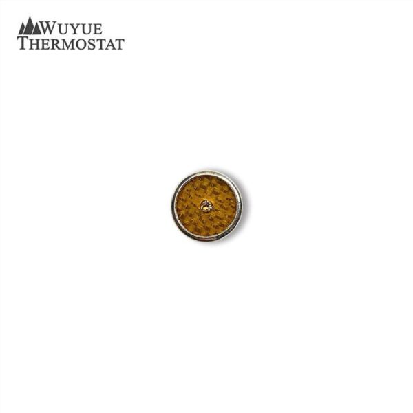 S01 Coil Thermal Protector