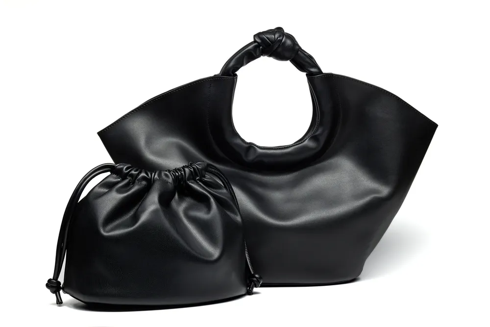 Handbag in tote overview with a small bag inside 结果