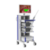 Endoscopic Fluorescent Imaging System