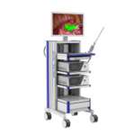 Endoscopic Fluorescent Imaging System