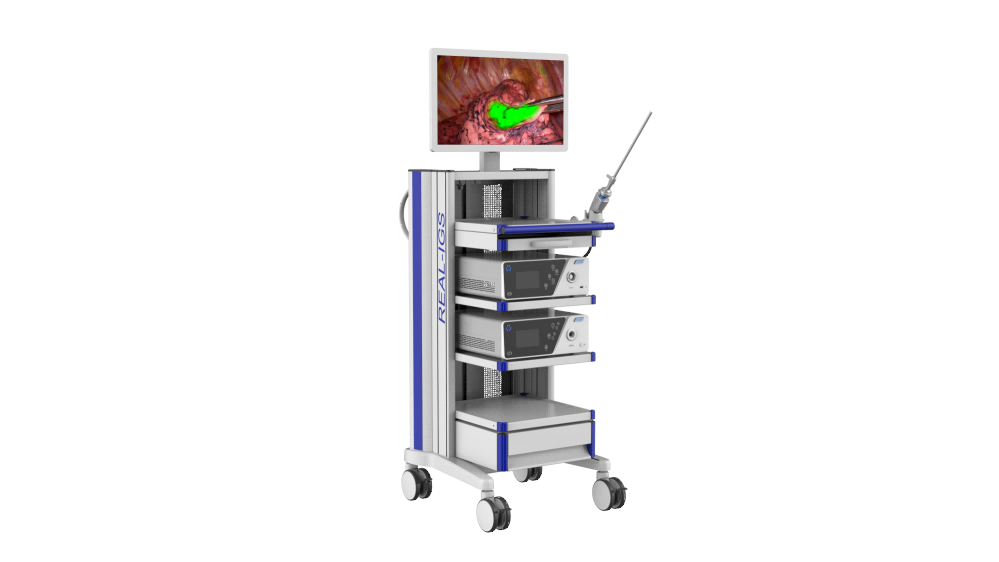 Endoscopic Fluorescent Imaging System