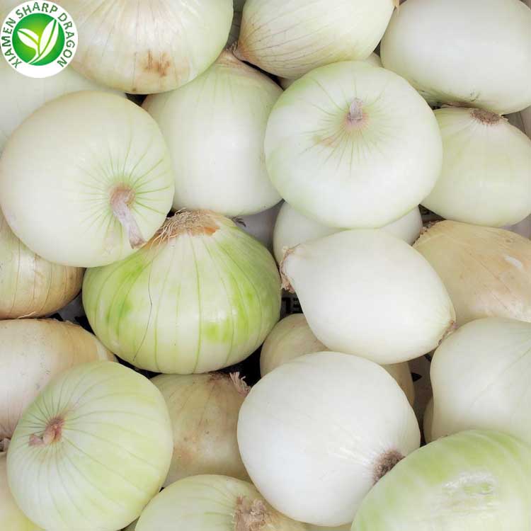 the nutritional value of white onions