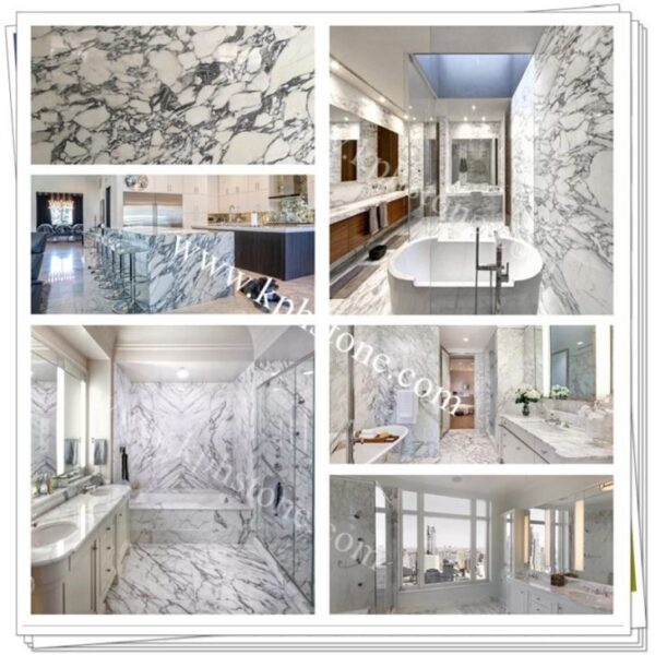 italy white arabescato marble collections16583435974 1663301367710