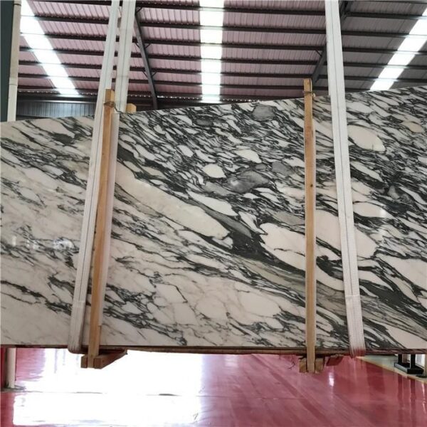 arabescato corchia italy marble tile and slab12106304782 1663301408110