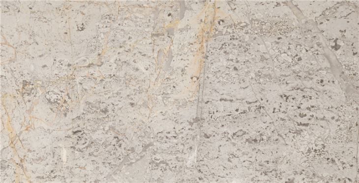grigio ginevra grey ginevre marble slabs for47317751882 1663301609532