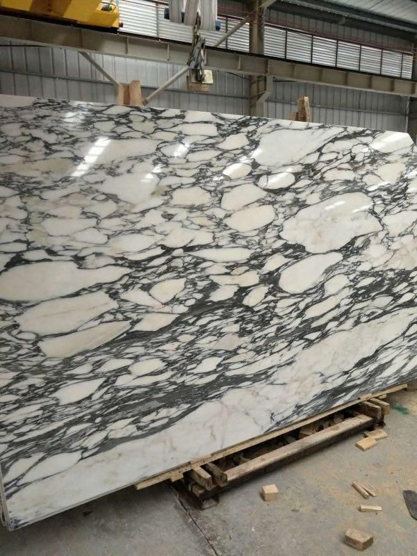 arabescato corchia italy marble tile and slab201912021447147937857 1663305480355