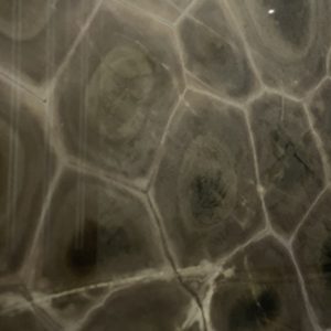 VerdeTartarugaquartzite 1663658310296 3 1