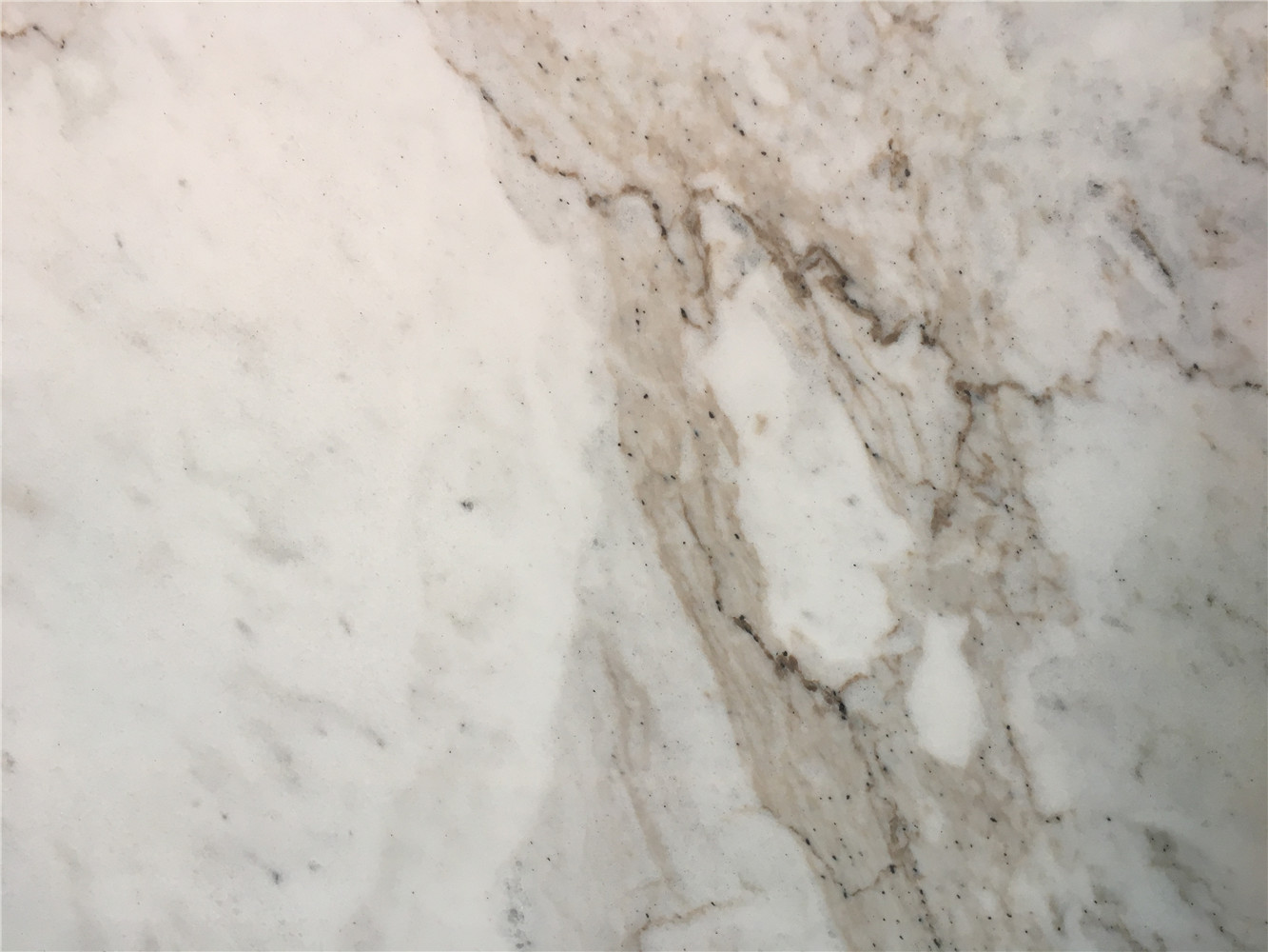 (Arabescato Venato) Marble New Castro White