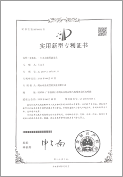 Patent Certificate 1