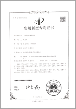 Patent Certificate 6