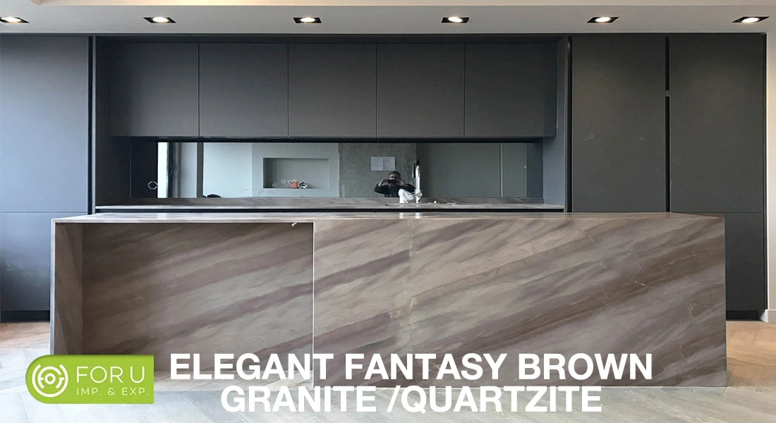 Elegant Fantasy Brown Granite Kitchen Countertops projects FOR U STONE