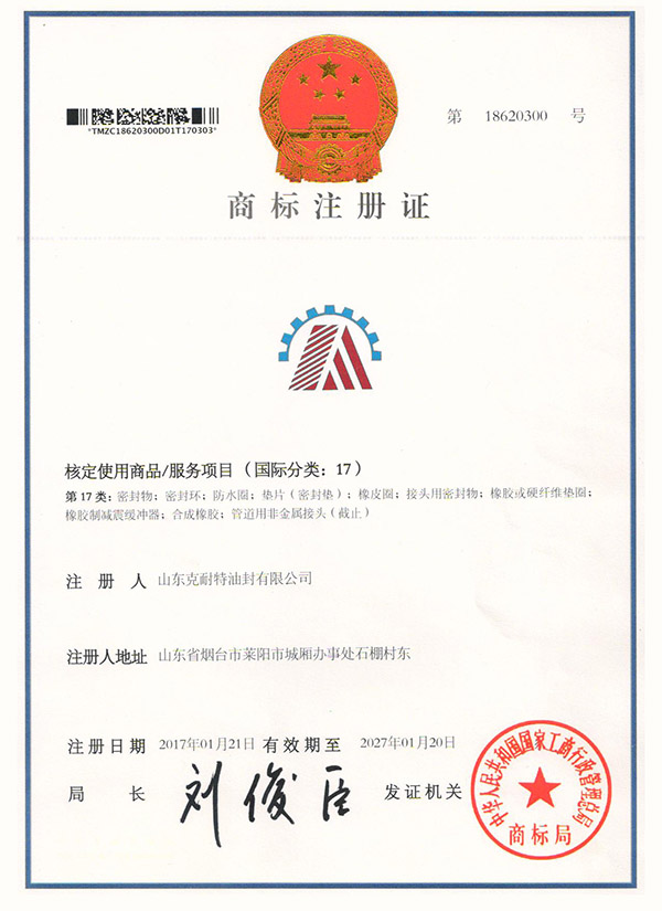Efficient Gas spring oil seal