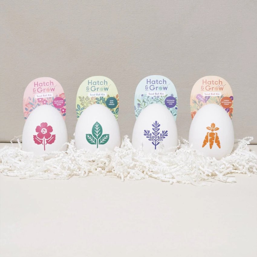 Seed Ball Kits Garden Kit