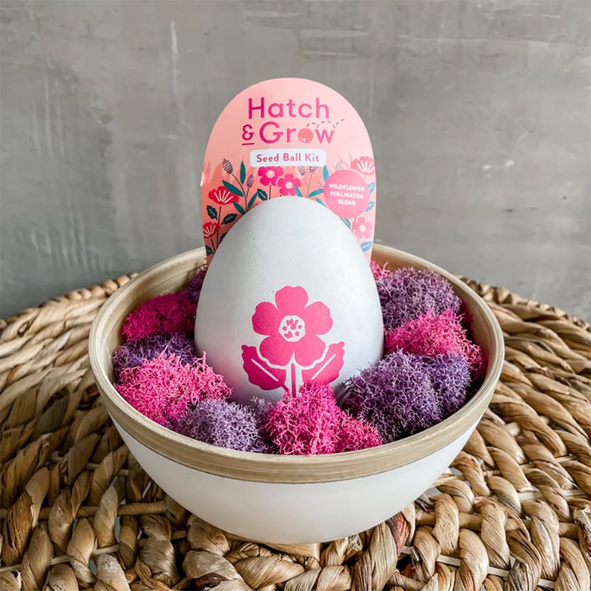 Seed Ball Kits Garden Kit