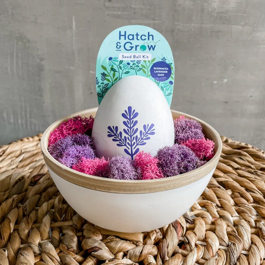 Seed Ball Kits Garden Kit