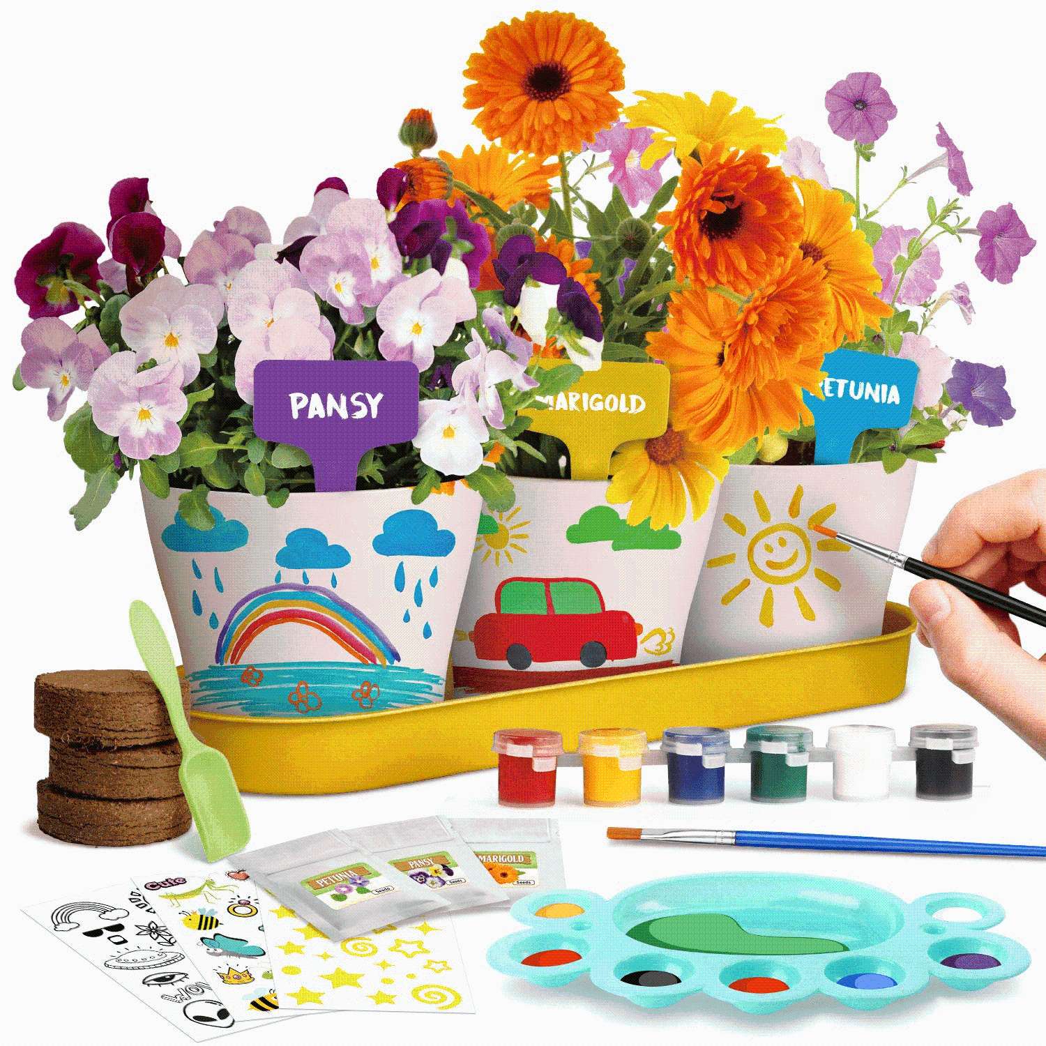 Garden Kit Paint & Plant Flower Growing Kit Garden Kit