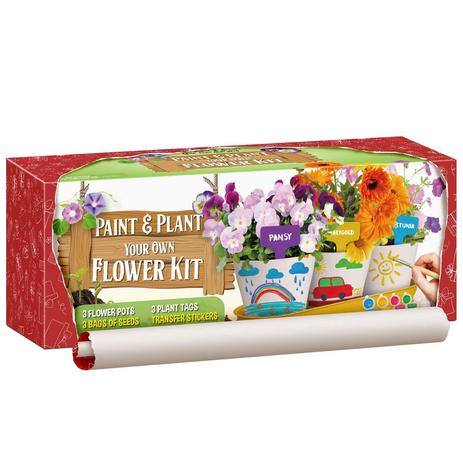 Garden Kit Paint & Plant Flower Growing Kit Garden Kit