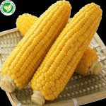 ¿Cómo conservar la frescura y el dulzor del maíz dulce congelado a granel?