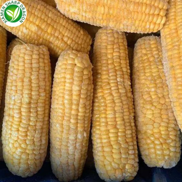 bulk frozen sweet corn importers
