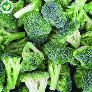 Iqf bulk frozen broccoli