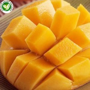 bulk frozen mango fruit cube