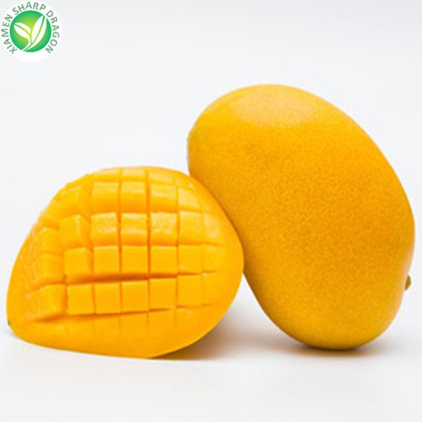 bulk frozen mango fruit cube