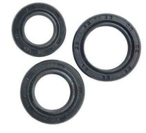 Unveiling the Distinctive Qualities of Chinese Engine Oil Seals
