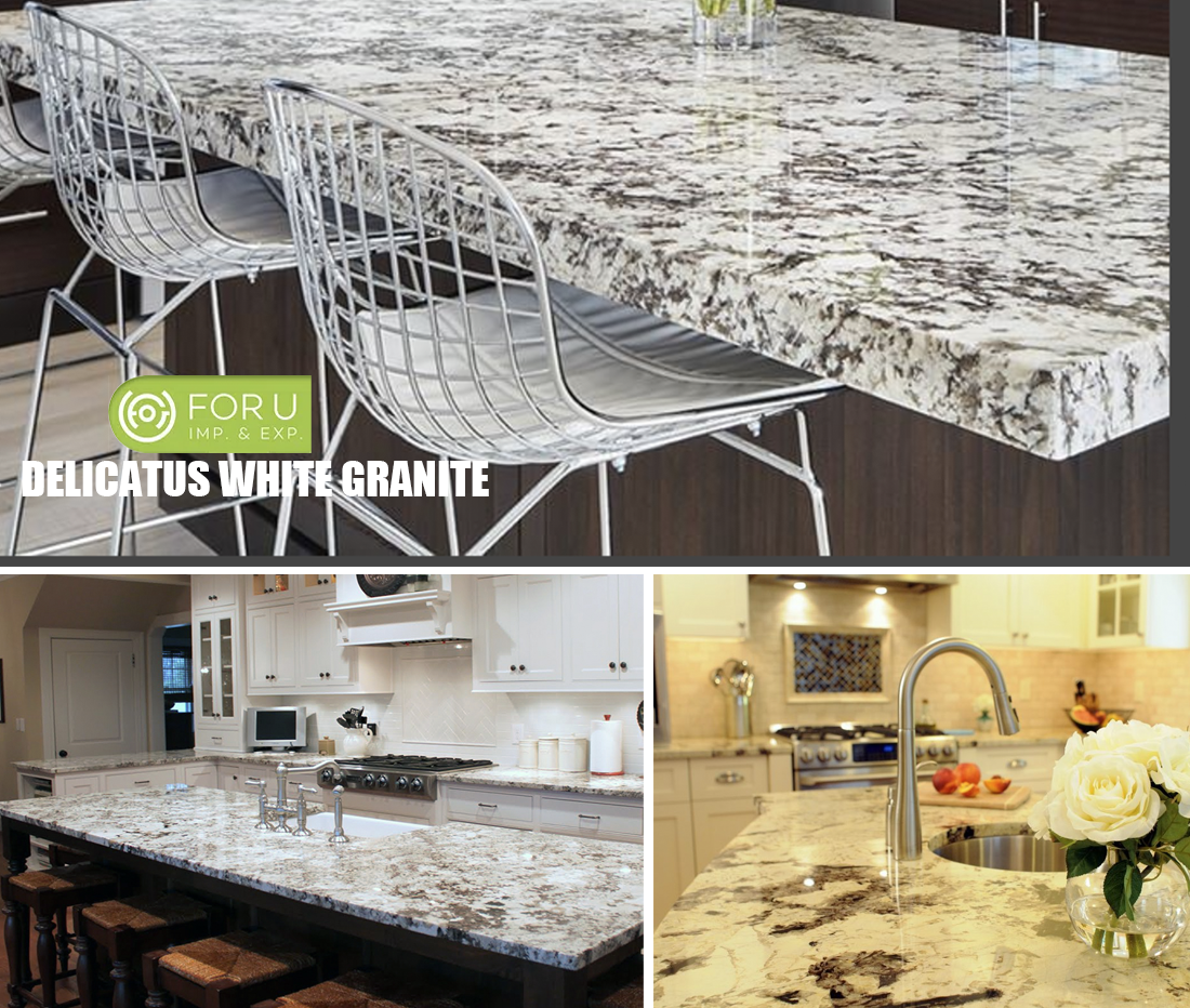 Delicatus White Granite Kitchen Island Countertops Projects FOR U STONE