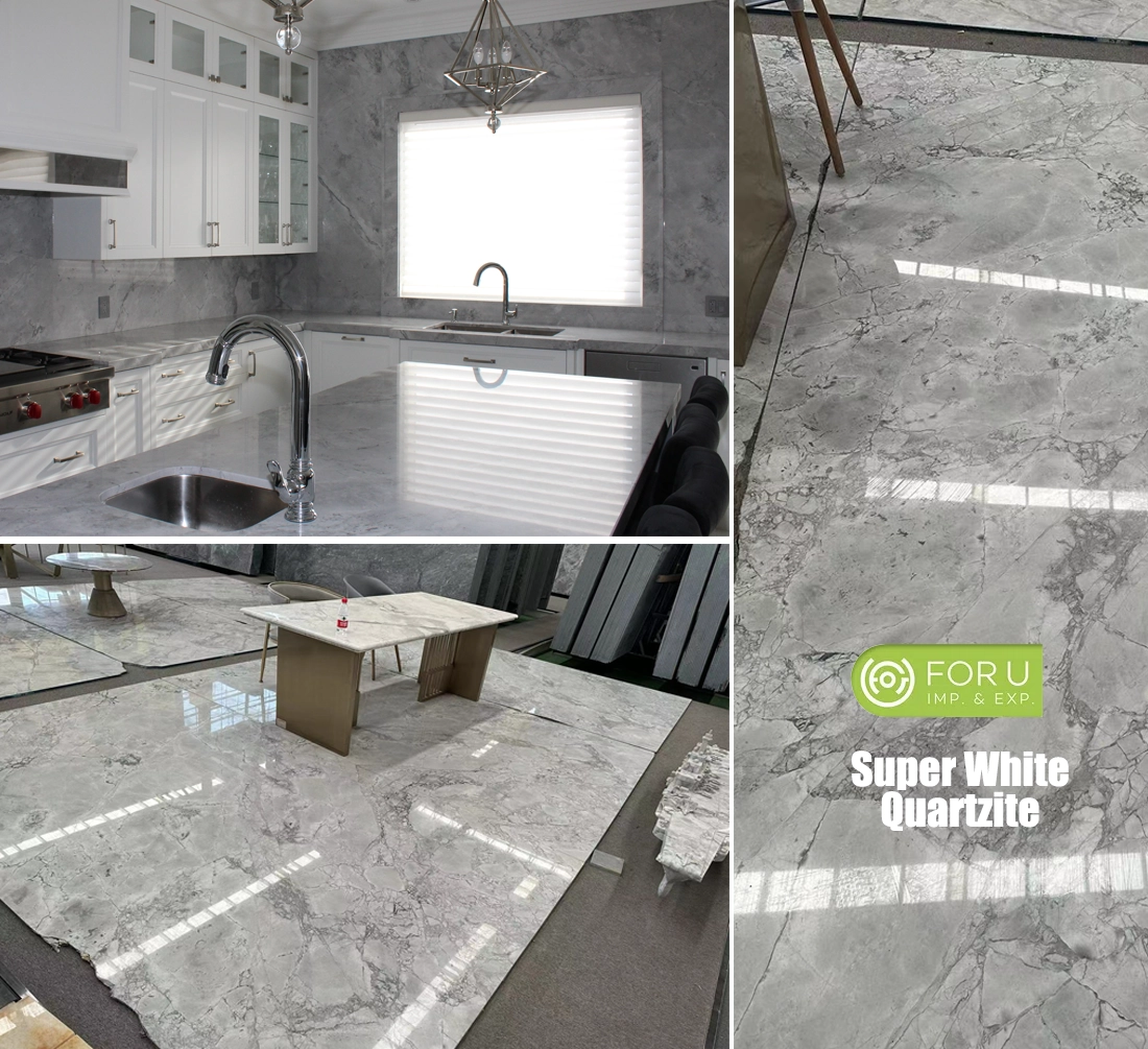 Super White Grey Quartzite Kitchen and Floor Projects FOR U STONE