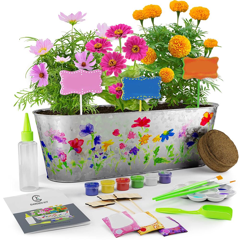 Cultiver Une Plante Dans Le Guide Du Pot. Comment Faire Pousser Une Fleur  Instruction étape Par étape.