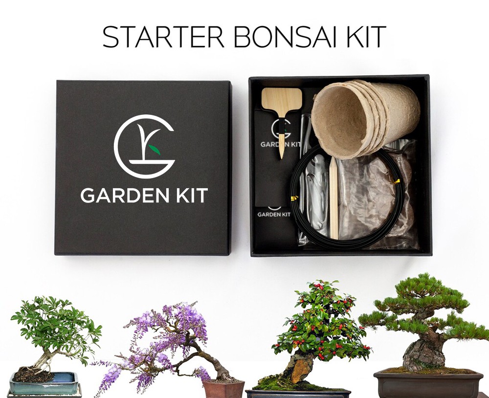 Easy Bonsai Starter Kits - China Leading Growing Kit Supplier「Garden Kit」