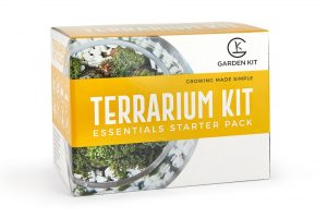 Pflanzenterrarium-Kit