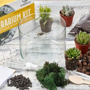 Kit de terrario de plantas