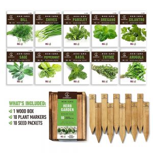 Herb Garden Seeds for Planting