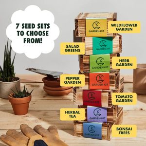 Herb Garden Seeds for Planting