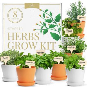 Deluxe Herb Garden Kit