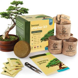 Bonsai Seed Kit