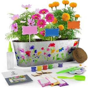 Kit de cultivo de flores