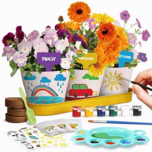 Garden Kit Paint & Plant Flower Growing Kit