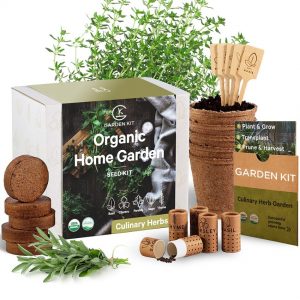 Kit per giardinaggio di erbe aromatiche da interno