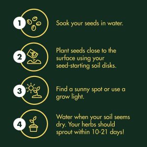 Indoor Herb Garden Starter Kit