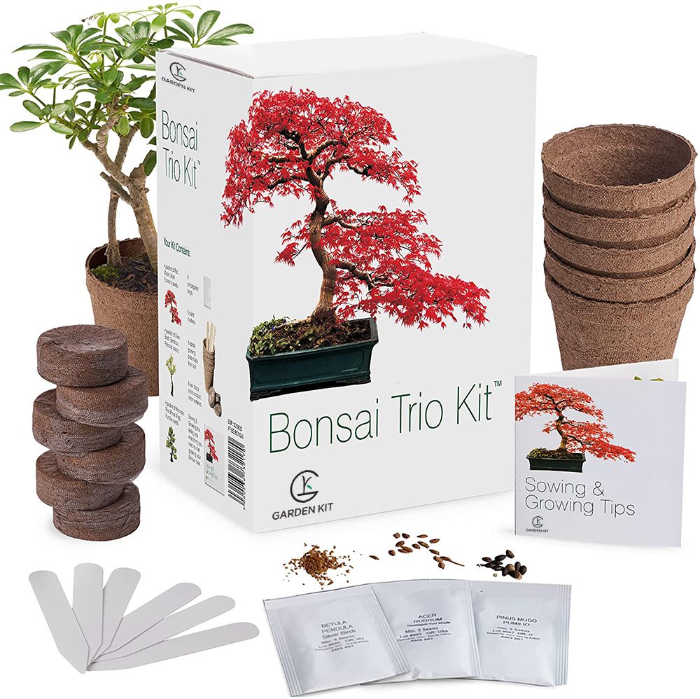 Bonsai Üçlü Kit