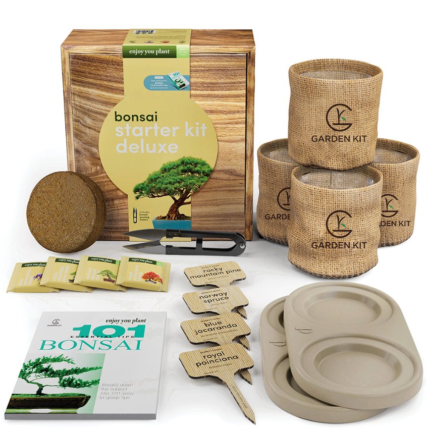 Kits de graines de bonsaï - Premier fournisseur chinois de kits de culture「Kit  de jardin」